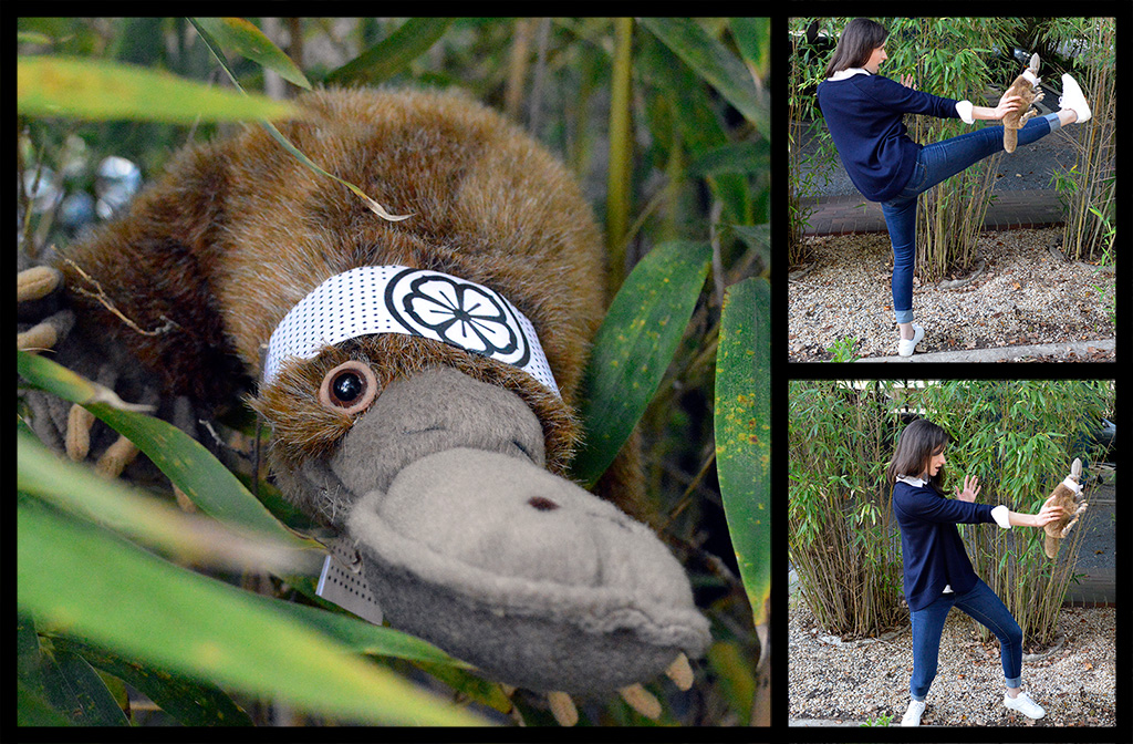 Our platypus mascot harnesses Points of Parity Jujitsu moves.