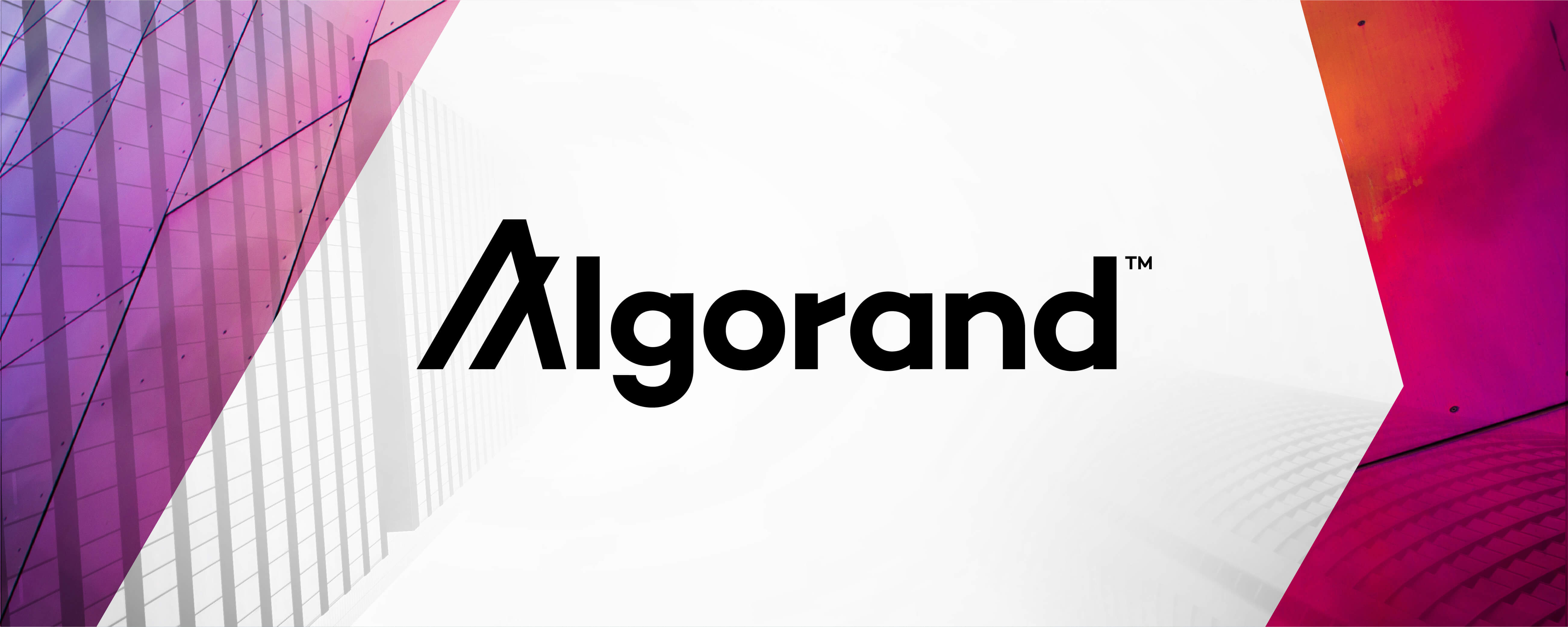 Algorand – Branding a blockchain revolution | New Kind